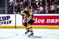 Ray Bourque