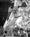 Ray Burris, Chicago Cubs Royalty Free Stock Photo