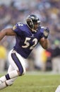 Ray Lewis