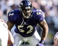 Ray Lewis Baltimore Ravens Royalty Free Stock Photo