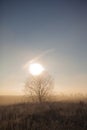 Ray of light breaks through the dramatic sky Royalty Free Stock Photo