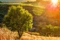 A ray of light breaks through the dramatic sky at sunset and hit a solitary tree on a hill Royalty Free Stock Photo