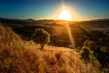 A ray of light breaks through the dramatic sky at sunset and hit a solitary tree on a hill Royalty Free Stock Photo