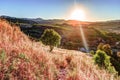 A ray of light breaks through the dramatic sky at sunset and hit a solitary tree on a hill Royalty Free Stock Photo