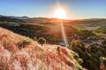 A ray of light breaks through the dramatic sky at sunset and hit a solitary tree on a hill Royalty Free Stock Photo