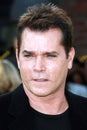 Ray Liotta Royalty Free Stock Photo