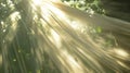 A ray of sunshine breaking through the thick canopy of trees illuminating the soft fabric gliding through the breeze Royalty Free Stock Photo