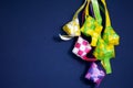 Raya Ketupat Royalty Free Stock Photo