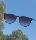 Rayban of summer Royalty Free Stock Photo