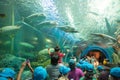 Rayong, THAILAND - MARCH 20: Tourists at the Aquatic tunnel in t