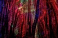 Various coloured light painting over dark woods. Abstract background.