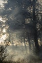 Rays of light in the smoke of the fire Royalty Free Stock Photo