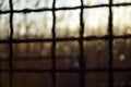 The rays of the rising sun shine through an old, rusty mesh. Background. Royalty Free Stock Photo