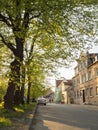 Rays of a spring sunset through the crown of a green tree in Klaipeda Street, Lithuania