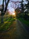 The rays of the sun breaking through the branches of the trees illuminate the path in the park and forest Royalty Free Stock Photo