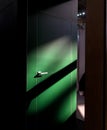 The rays of the sun fall on the green street entrance door, forming a chiaroscuro pattern Royalty Free Stock Photo