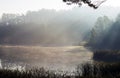 The rays of the sun in the morning shining through the fog over the lake Royalty Free Stock Photo