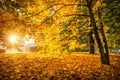 Rays of the sun through red autumn trees in Tsaritsyno Royalty Free Stock Photo