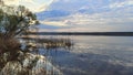 The rays of the sun, rising over the forest on the far shore of the lake, shine through the clouds and the branches of the willows Royalty Free Stock Photo