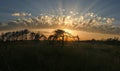 Rays of sun shine through beautifully shaped clouds behind tree silhouettes