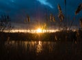 The rays of the sun at sunset breaking through thick dark clouds and illuminating the reeds on the river bank with backlight Royalty Free Stock Photo