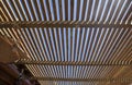 Rays of sunlight filtering through a wooden pergola