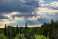 Rays of sunlight shinning down on a Wisconsin forest in July Royalty Free Stock Photo