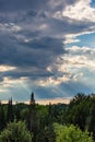 Rays of sunlight shinning down on a Wisconsin forest in July Royalty Free Stock Photo