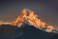 The rays of the sunrise make the Fishtail mountain shine in the golden light Royalty Free Stock Photo