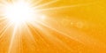 Rays yellow background. Gold sunny sky. Heat sunburs, hot weather. Sunshine orange sky. White warm sunlight. Bright