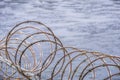 Razor barbed wire security fence, muddy marsh background