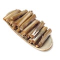 Razor clams isolated