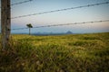 Razor wire of fence on terrain land Royalty Free Stock Photo