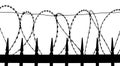 Razor wire on metal fence