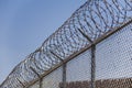 Razor Wire Security Fence_02