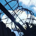 Razor Wire Silhouette