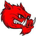 Razorback Mascot Extreme Royalty Free Stock Photo