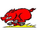 Razorback Run