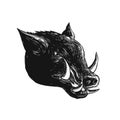 Razorback Wild Boar Scratchboard