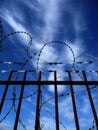 Razorwire Royalty Free Stock Photo