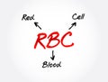 RBC - Red Blood Cell acronym, concept background