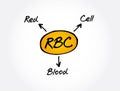 RBC - Red Blood Cell acronym, concept background