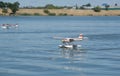 RC Hydroplane landing on water Royalty Free Stock Photo