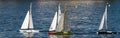 RC Sailboats Racing