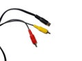 RCA connector. The wire is a tulip. Audio and video wire Royalty Free Stock Photo