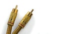 RCA connectors with a gold covering for audio and video. Royalty Free Stock Photo