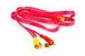RCA Input audio and video signals connection.