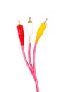 RCA Input audio and video signals connection.