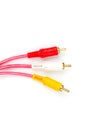 RCA Input audio and video signals connection.