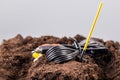 The RCA jack cable is buried in the ground like a grave. Royalty Free Stock Photo